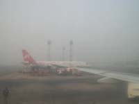 Fog Fog