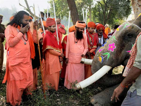Juna Akhada Sadhus take a look at an elephant