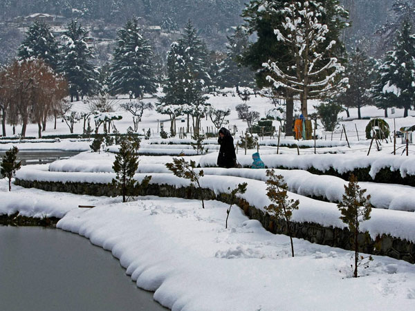 In Srinagar