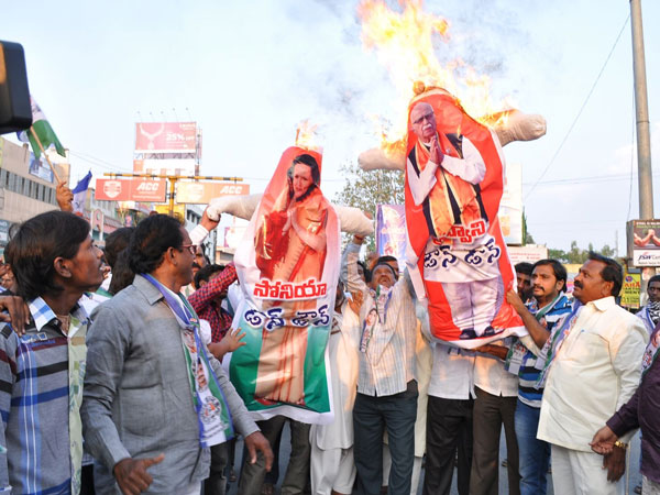 Effigies of Sonia Gandhi were burnt
