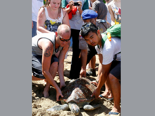 Foreign tourists help to release a sea turtle to the ocean