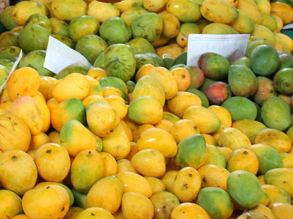 mango varieties in tamil
