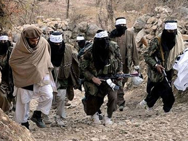 Taliban use bird bomb in Afghanistan Taliban use bird bomb in Afghanistan