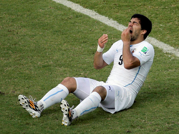 luis luis