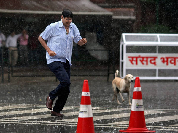 Rains Rains