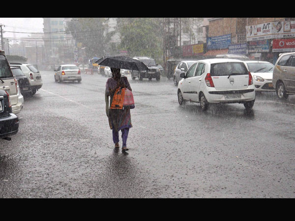 Rains Rains