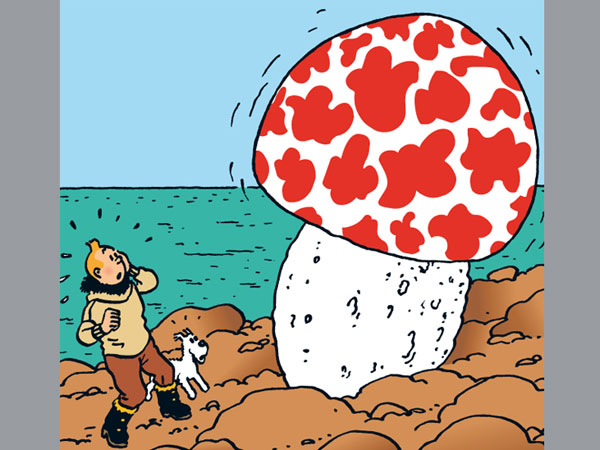 Iconic Tintin cover fetches 2.5 mn euros Iconic Tintin cover fetches 2.5 mn euros