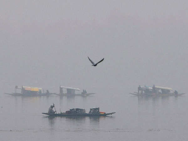 Kashmir Kashmir
