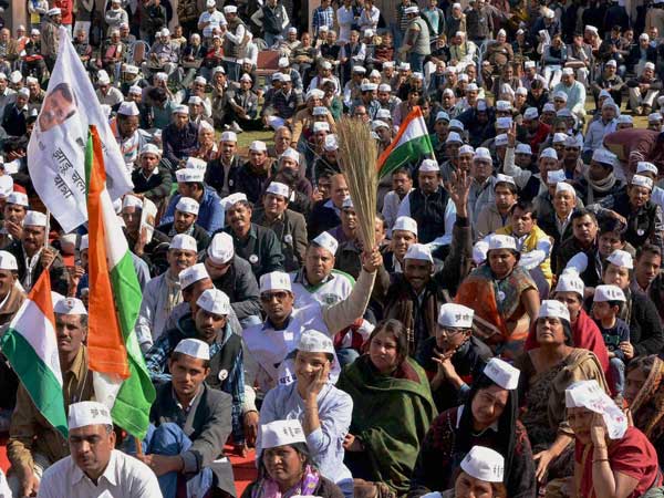 AAP AAP