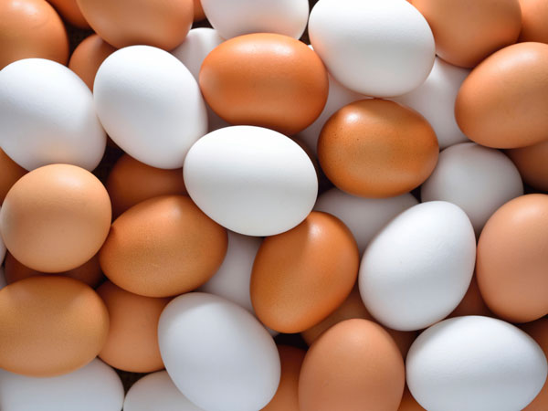 Egg Egg