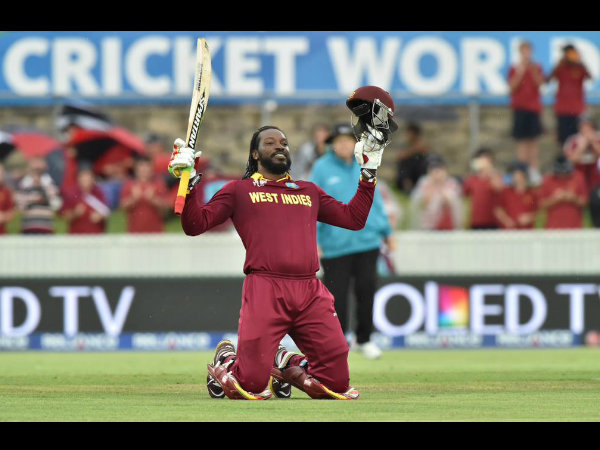 Gayle celebrating his double ton against Zimbabwe Gayle celebrating his double ton against Zimbabwe