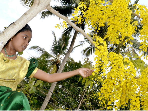 Vishu 2 Vishu 2
