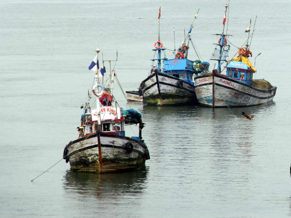 boat boat