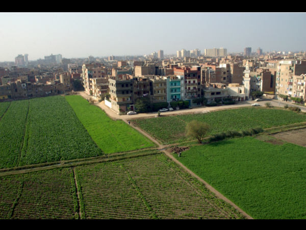 land land