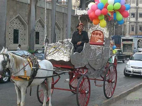 Bombay HC bans horse-drawn Victorias Bombay HC bans horse-drawn Victorias