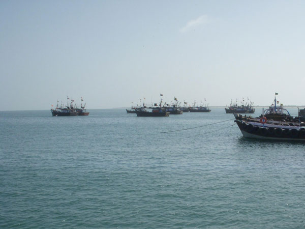 Pakistan releases 113 Indian fishermen ahead of Ramadan. Pakistan releases 113 Indian fishermen ahead of Ramadan.