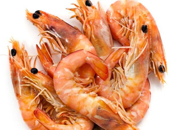 Prawns Prawns