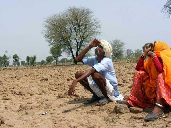 Land law: Govt to include 13 central Act Land law: Govt to include 13 central Act