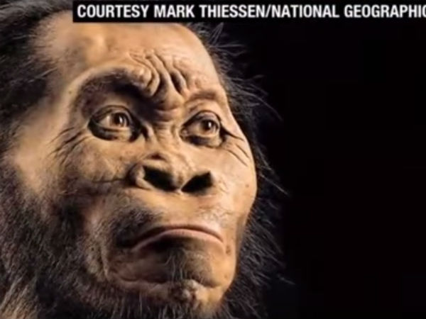 Homo naledi: Scientists unravel new human species in splendid details Homo naledi: Scientists unravel new human species in splendid details