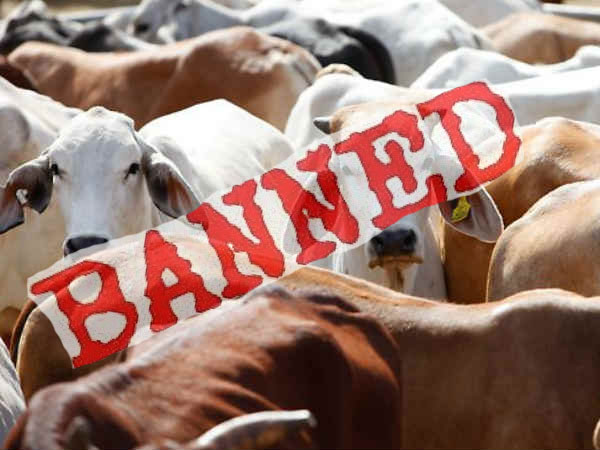 Petitions in Bombay HC seek exemption from beef ban for Eid. Petitions in Bombay HC seek exemption from beef ban for Eid.