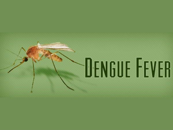 AAP govt's plan to control dengue menace AAP govt's plan to control dengue menace