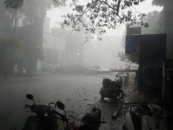 rains rains