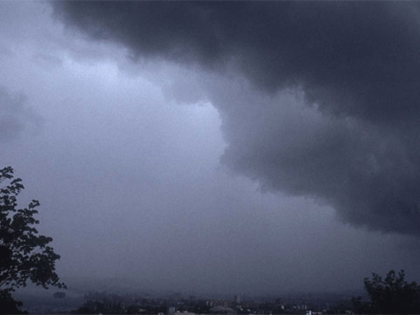11 flights cancelled, two die due to fog 11 flights cancelled, two die due to fog