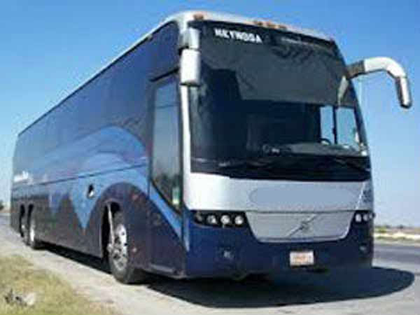 bus bus