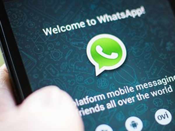 whatsapp whatsapp