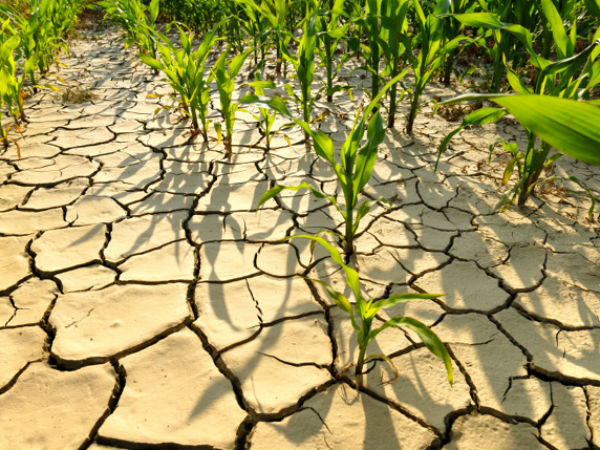 drought drought