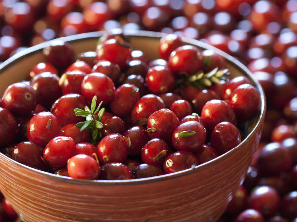 cranberry cranberry