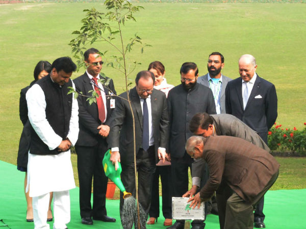 Hollande plants sapling at Rajghat in New Delhi