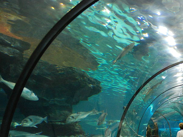 Man-made underwater sound a concern! Man-made underwater sound a concern!