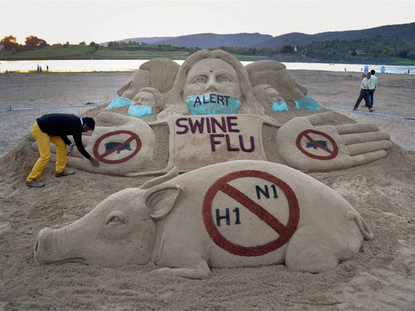 Swine Flu Swine Flu