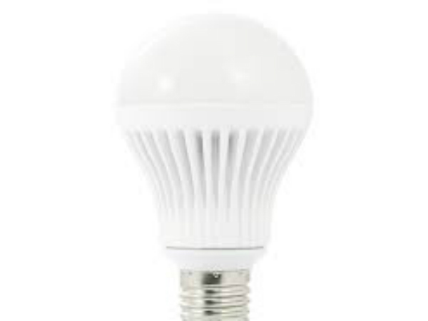 bulb bulb
