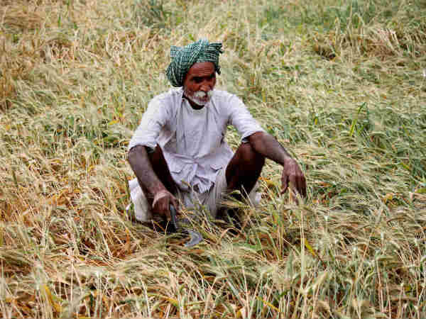 farmers farmers
