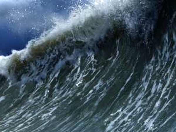 -tsunami -tsunami
