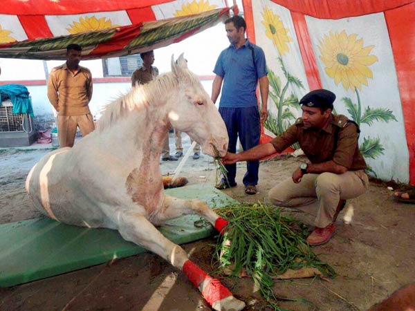 Petrol pump to be named after Shaktiman Petrol pump to be named after Shaktiman