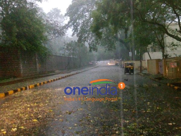 Monsoon gathering force in Kerala, advancing in other parts of India. Monsoon gathering force in Kerala, advancing in other parts of India.