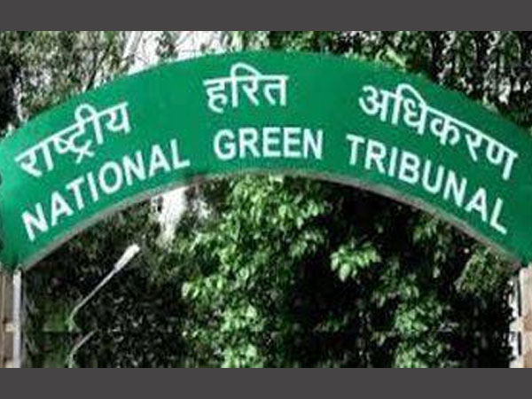 ngt- ngt-
