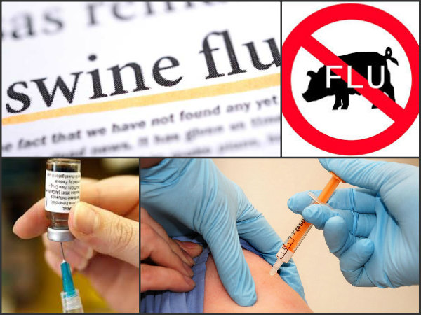 swine flu swine flu