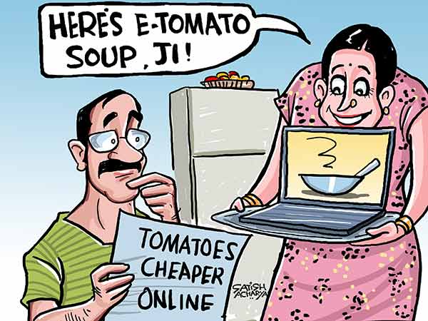tomato tomato