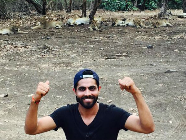 Lion selfie case: Ravindra Jadeja's statement recorded Lion selfie case: Ravindra Jadeja's statement recorded