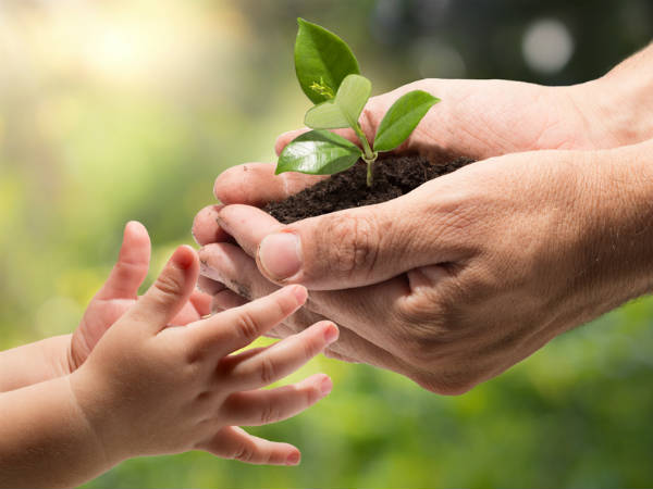 Himachal to plant 1 Cr saplings to increase green cover. Himachal to plant 1 Cr saplings to increase green cover.