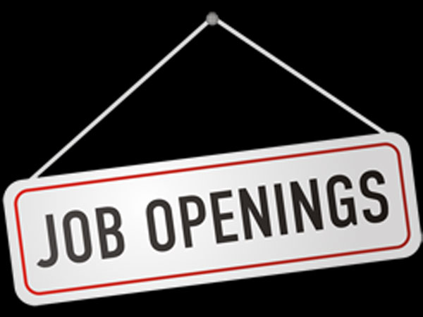 job job
