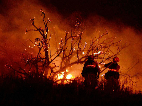 wildfire wildfire