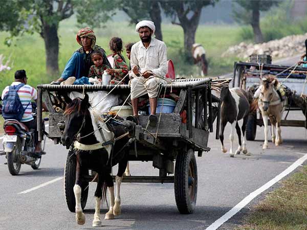314 villages along IB, LoC affected 314 villages along IB, LoC affected