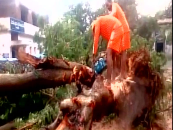 Cyclone Vardah kills two in Andhra Cyclone Vardah kills two in Andhra