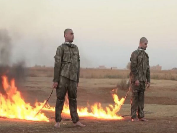 Terror Group Terror Group