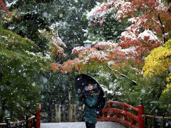 Cold wave across Europe leaves 23 dead Cold wave across Europe leaves 23 dead